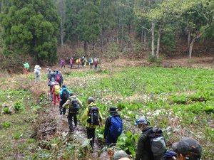 四季を楽しむ山歩き(4)