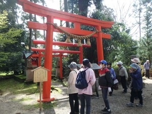 なんと楽しい街歩き(9)