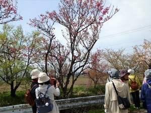 なんと楽しい街歩き(7)