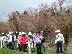 なんと楽しい街歩き(6)